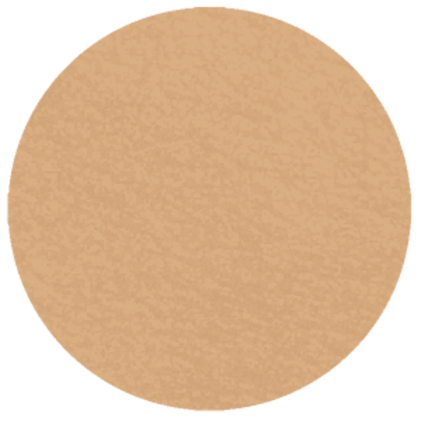 Sahara 10.1