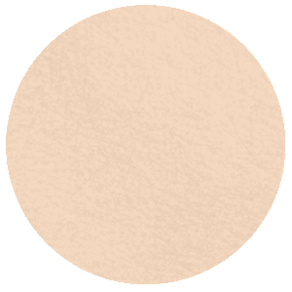 Bisque 6.1