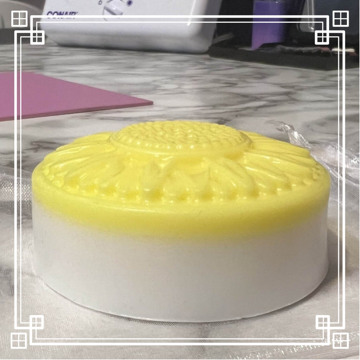 Marguerite à fragrance de fruits de passion