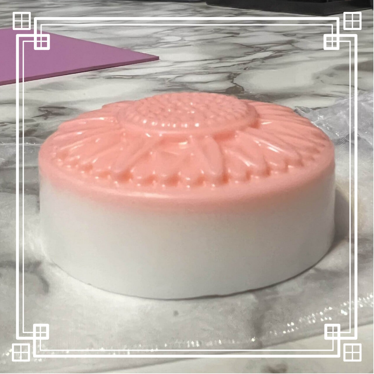 Marguerite à fragrance de rose