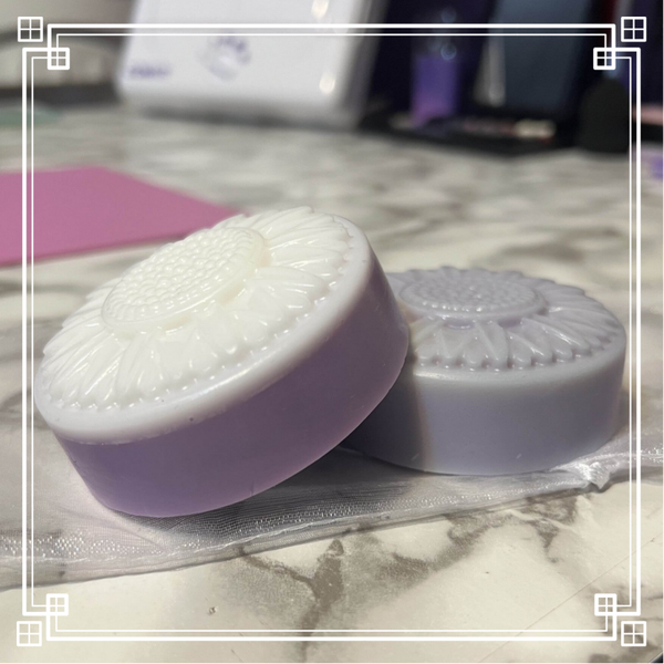 Marguerite à fragrance de lavande