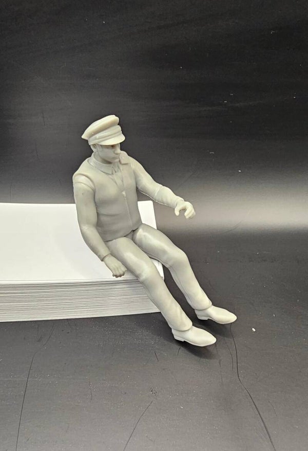 Traffic Police Officer Driver