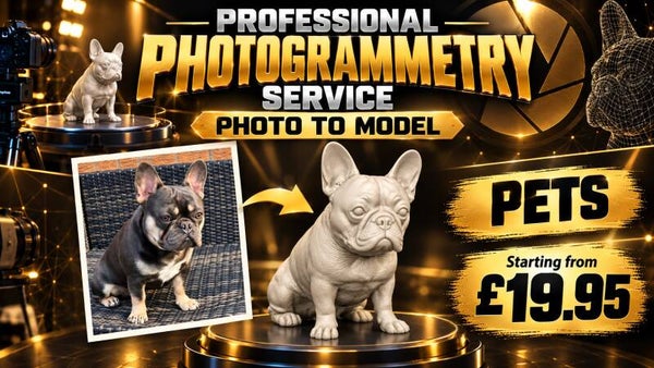Photogrammetry SINGLE PET FIGURE Prices Start From