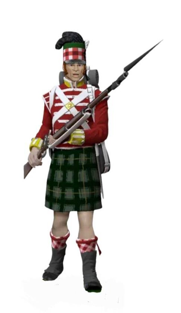 Scottish Grey Highlander