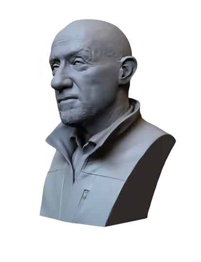 Mike Ehrmantraut BREAKING BAD Bust