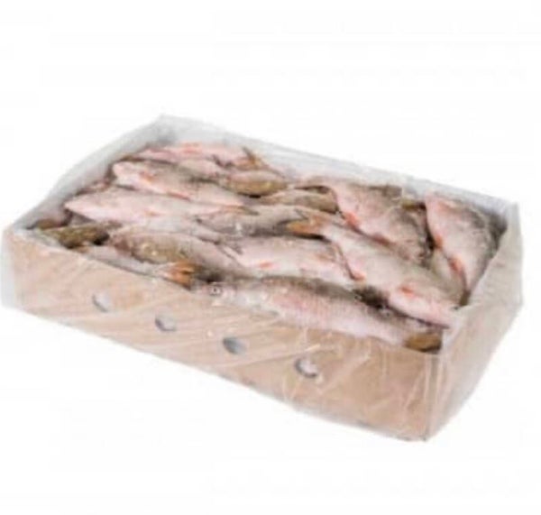 Mega roach box 10kg