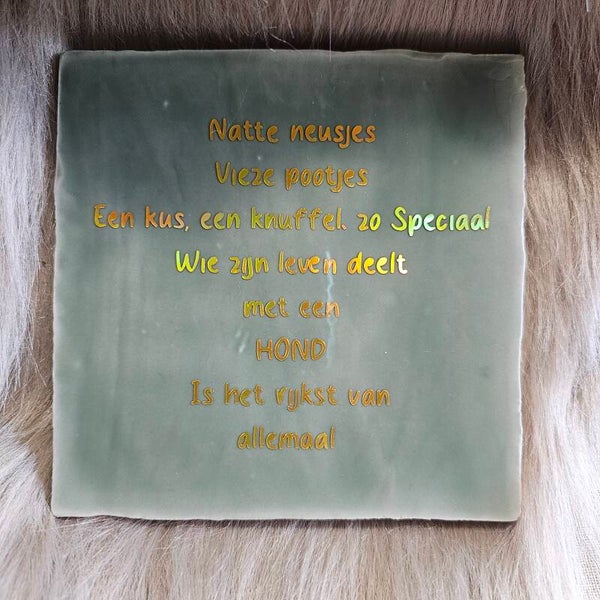 Tegel natte neusjes