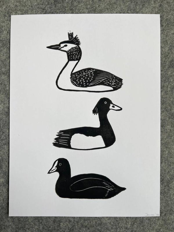 Linoprint zwart-witte watervogrls