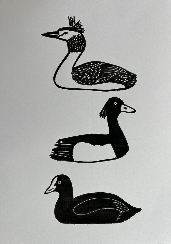 Linosnede met 3 watervogels