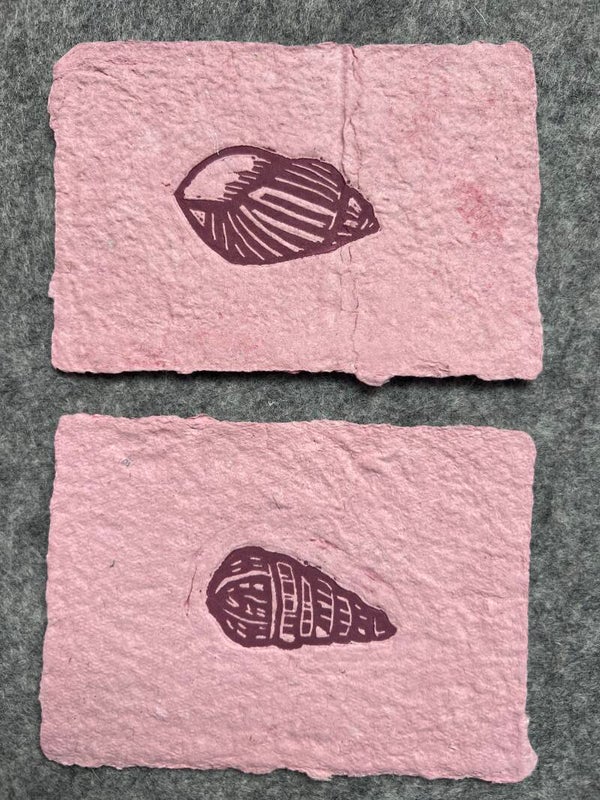 Set van twee kleine linoprint schelpen op handgeschept papier