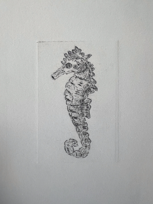 Ets in combinatie met pentekening zeepaardje