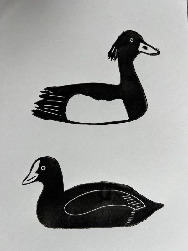 Linosnede watervogels a5