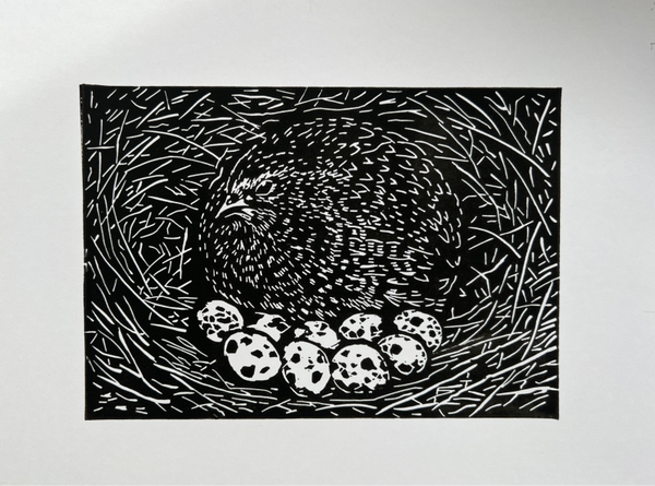 Linoprint kwartel