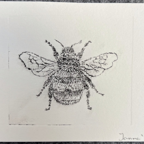 Ets- pentekening Hommel