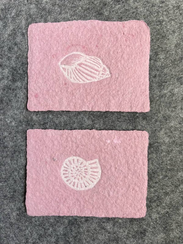 set van twee kleine linoprints schelpen