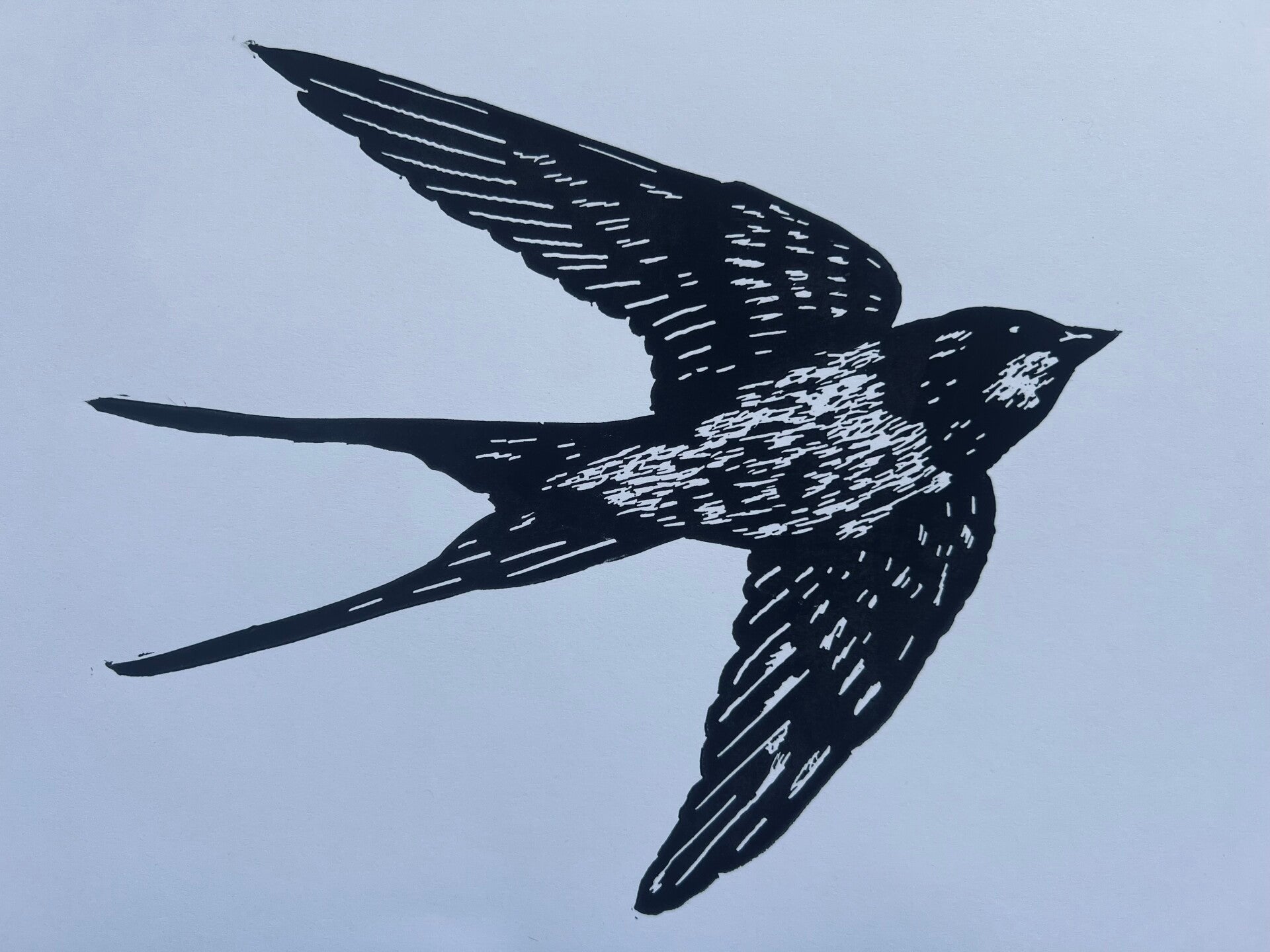 Linoprint vliegende zwaluw