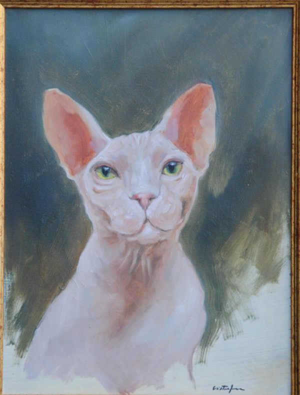 Gatto Sfinge