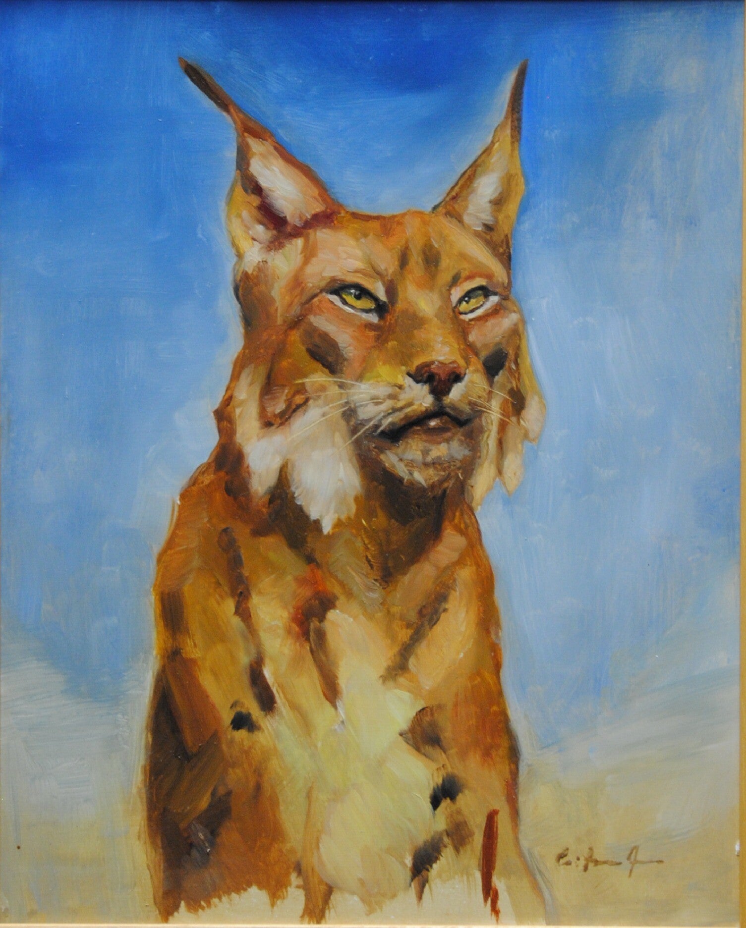 studio: lince - olio su tavola