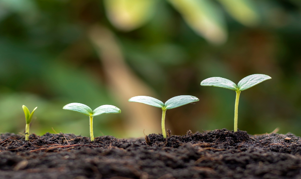 Toepassen van grond, bagger en bouwstoffen; Bbk en Bal - 2 dgn