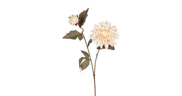 Creme dahlia 65cm