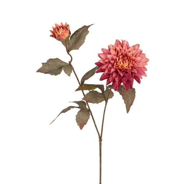 Herfst dahlia 65cm