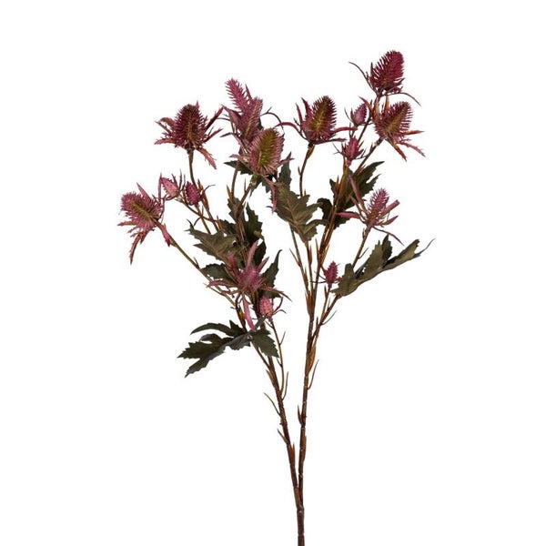 Distel l67cm burgundy