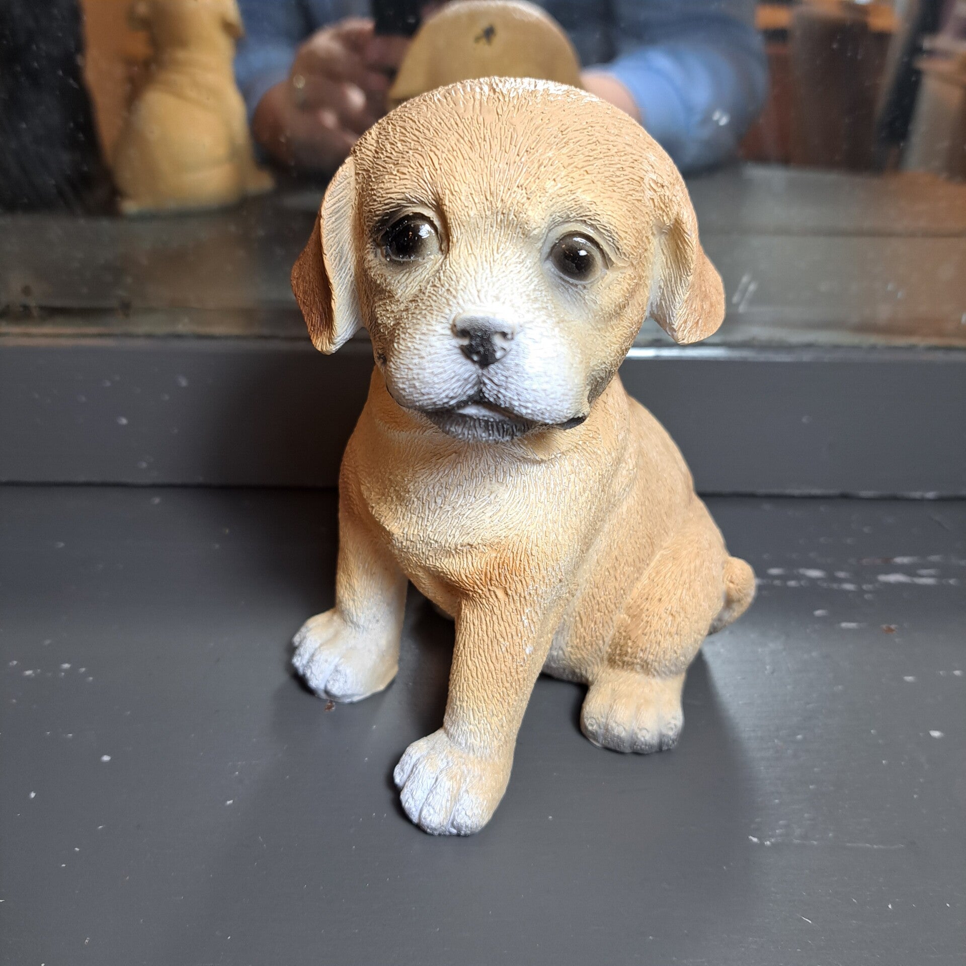 Labrador +/- 25cm hoog