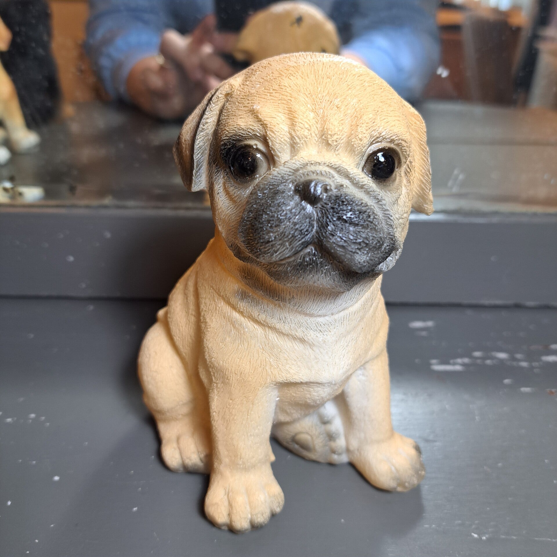 Pug +/- 25cm hoog