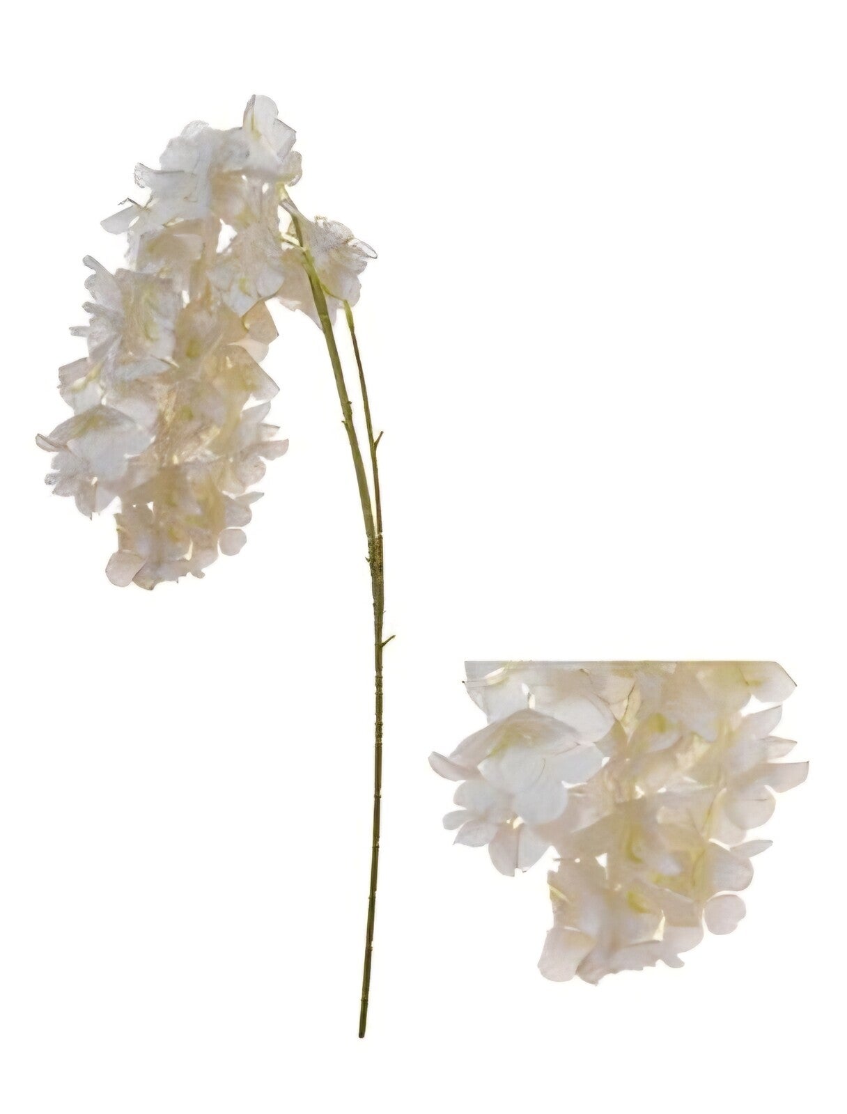 Wisteria tak ivoor 78cm