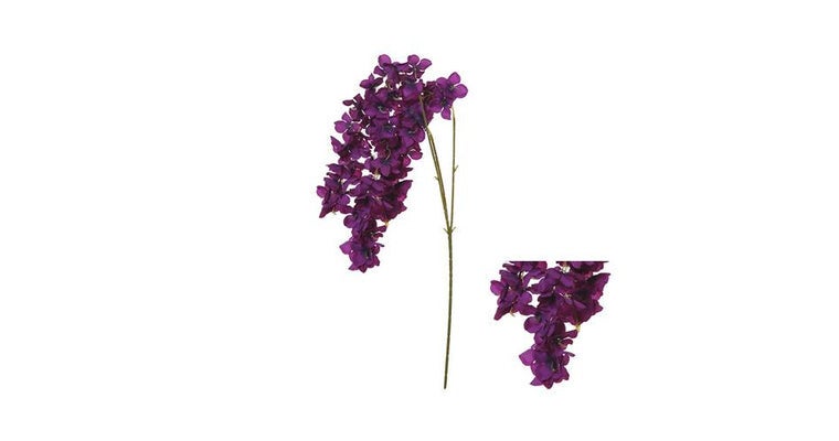 Wisteria tak donker paars 78cm