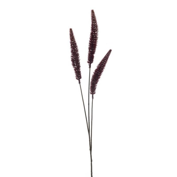 Mooi riet gras burgundy 88 cm