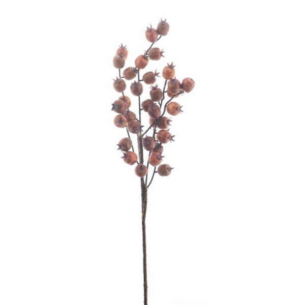 Rozenbottel 52cm