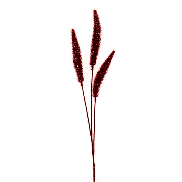 Riet gras burgundy 88cm