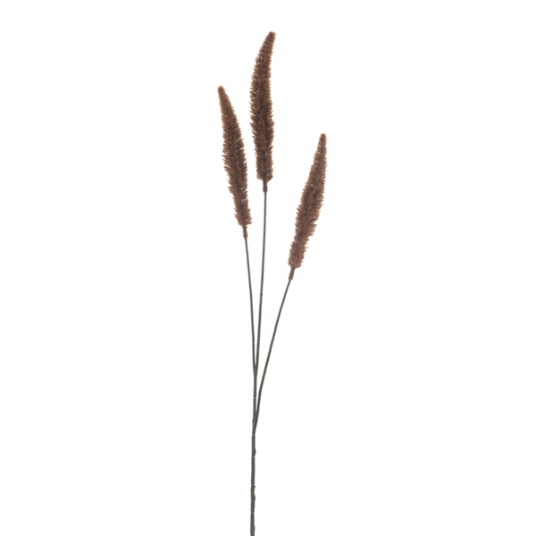Riet gras bruin 88cm