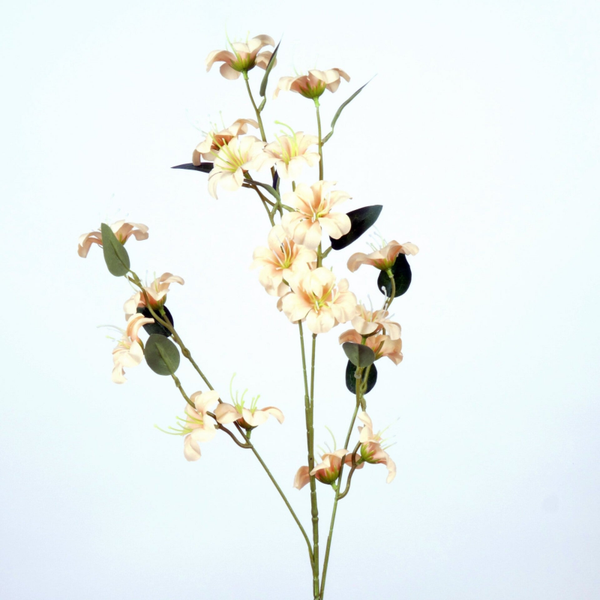 Creme bloesems 87 cm