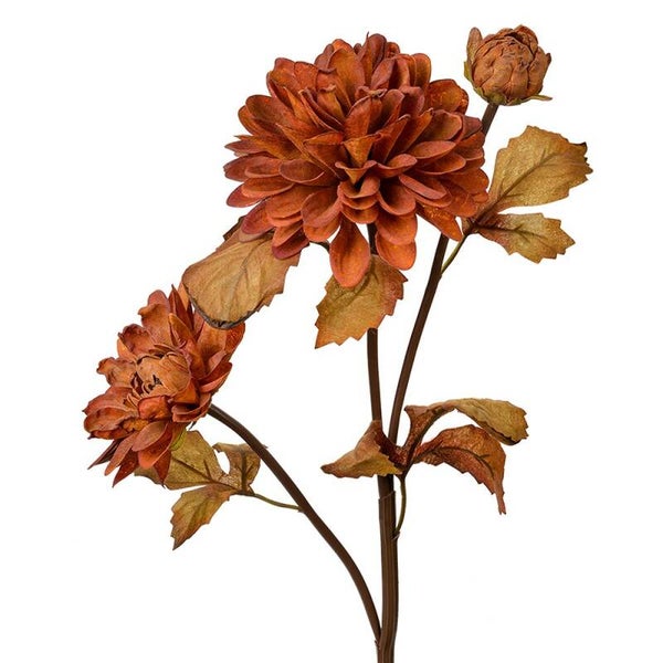 Bruine dahlia 66cm