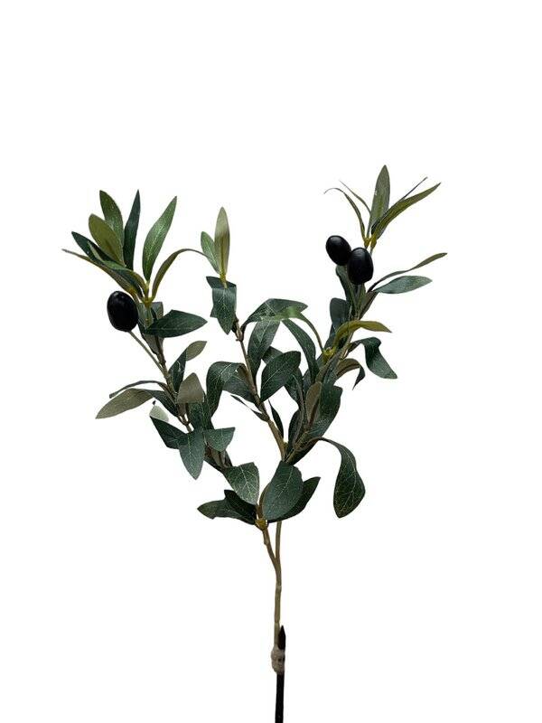 Olijftak 50 cm