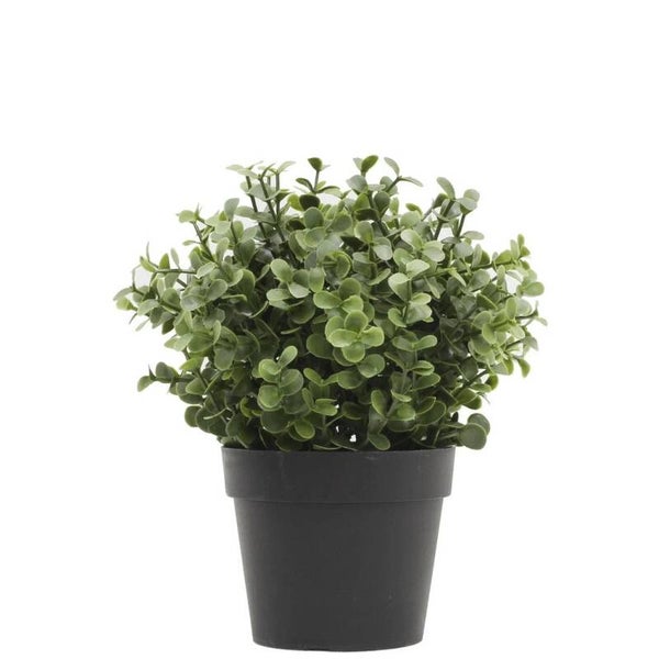 Kunstplant buxus uv en waterbestendig 20cm