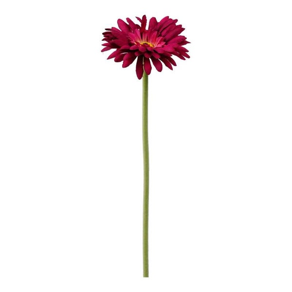 Gerbera beauty 55cm