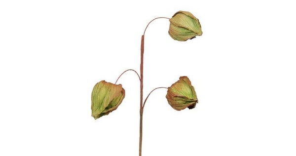 Lampion groen 40 cm