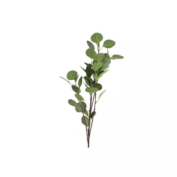 Eucalyptus 90cm