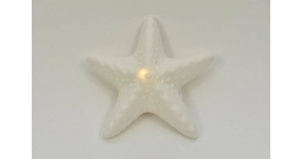 Zeester porselein matwit led  12,5x13x3,5cm