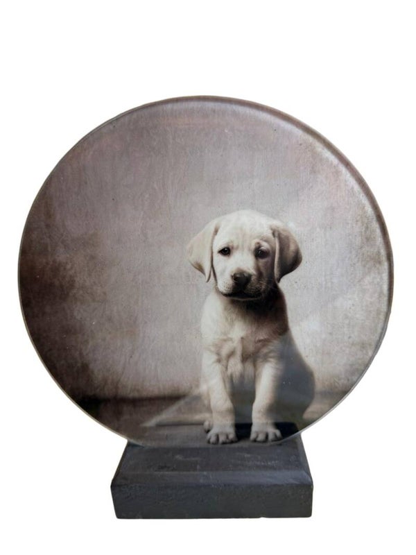 Glasplaat labrador pup 18cm doorsnee