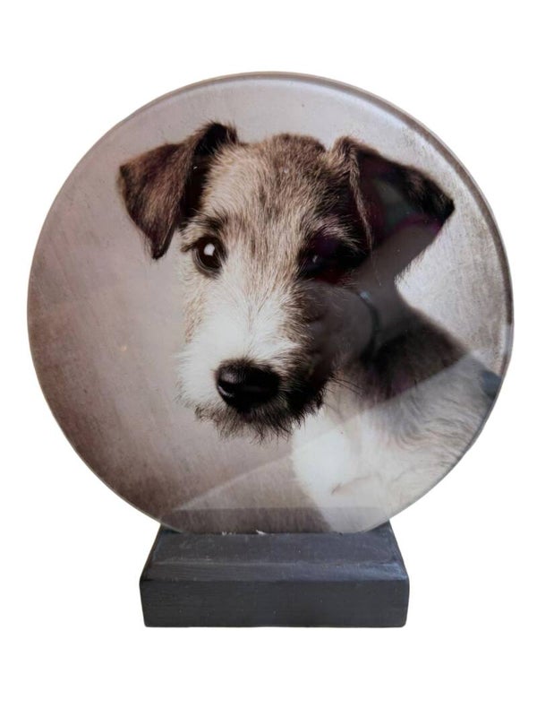 Glasplaat jack Russel ruwhaar 18cm doorsnee
