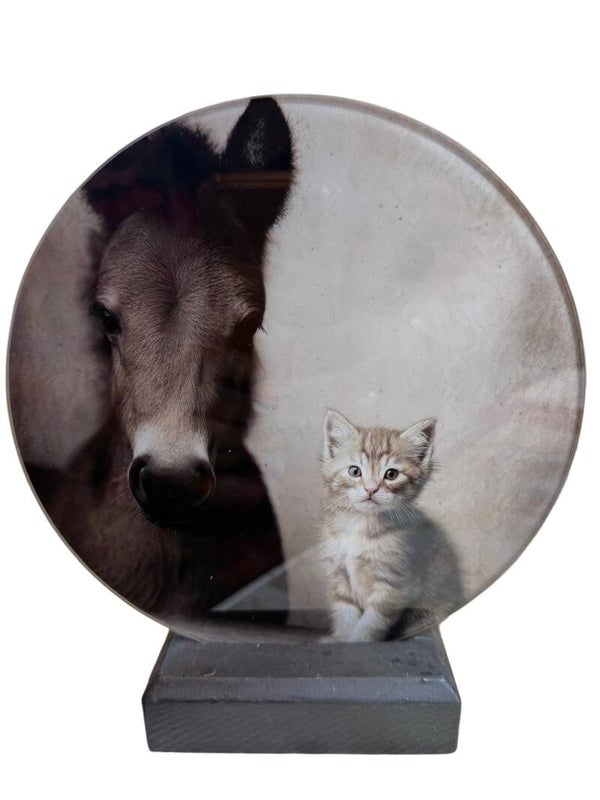 Glasplaat veulen en kitten 18cm doorsnee