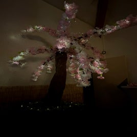 fullsizerender-standard-176g3g.jpg