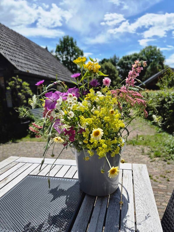 Volle emmer bloemen - door ons geplukt - €40,-