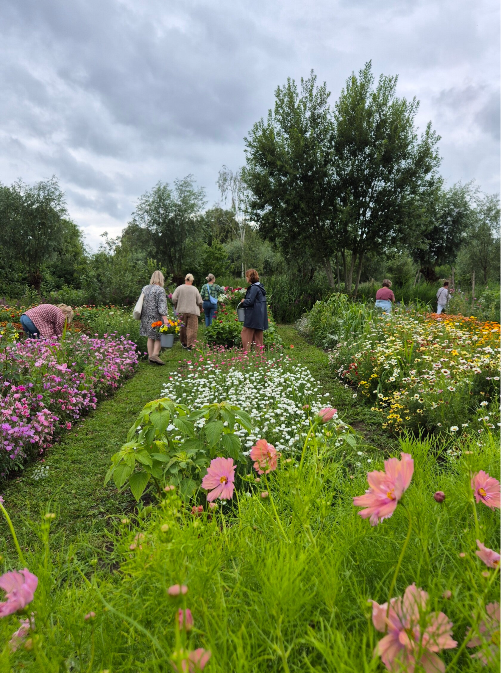 Pluk workshop - €39,50