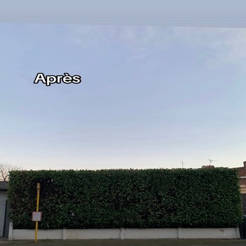 temp_image_3749e884-5f57-4c5c-b458-c0660720baff-standard-7op675.jpg