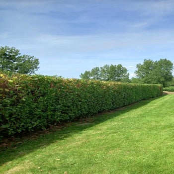 temp_image_eef523e3-bfc9-4ab4-b04f-8d1d3e1481ce-standard-7tf8b7.jpg